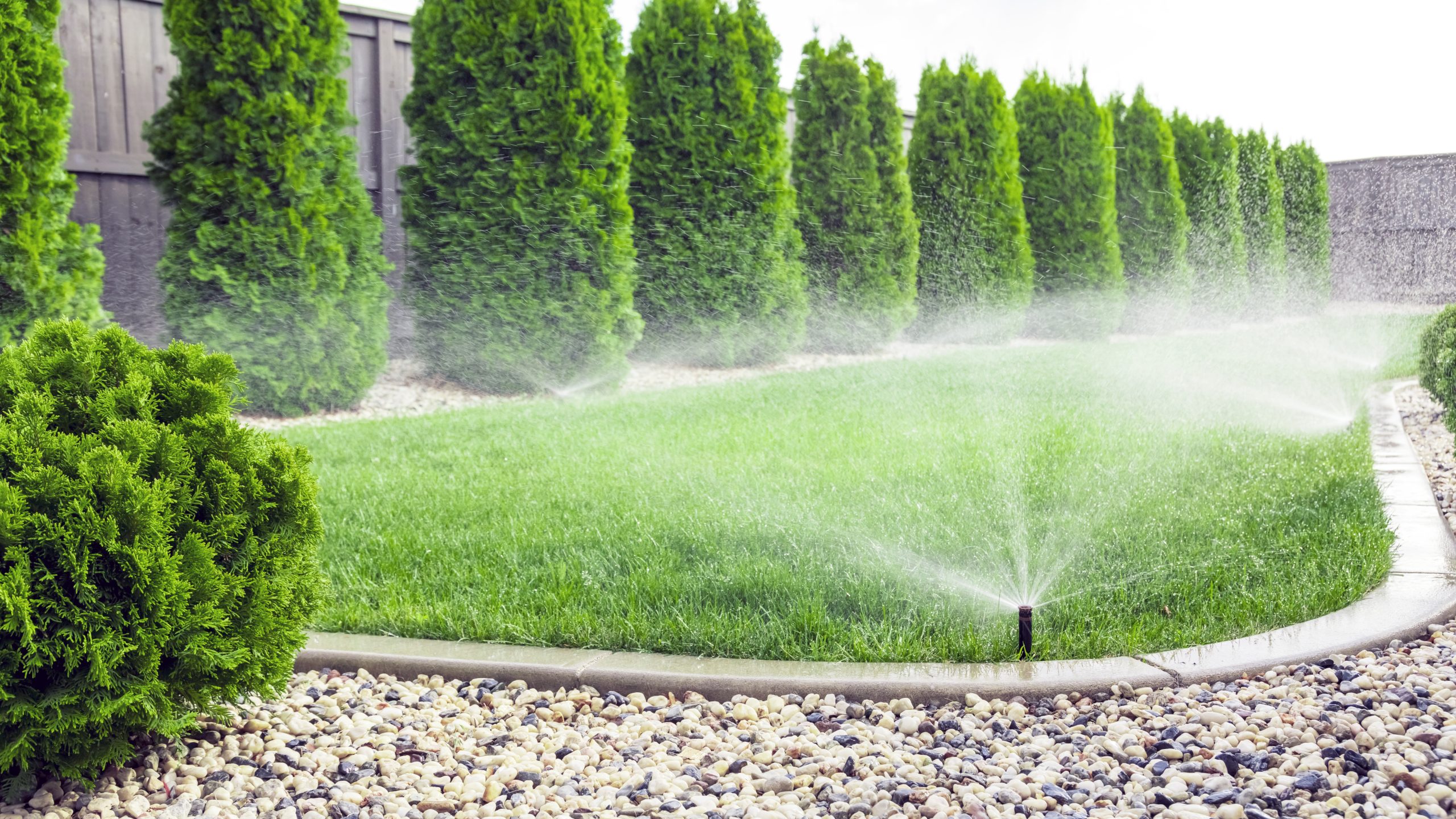 sprinklers-2025-01-29-02-10-45-utc
